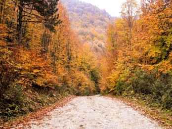 Kamp, Doğa ve İnsan