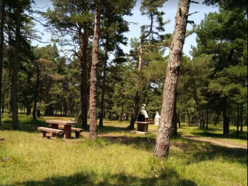 Çamtarla Mesire Ve Kamp Alanı
