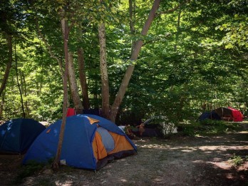 Doğaperest Cafe Camping