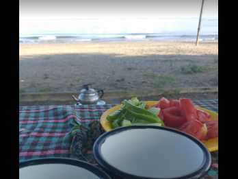 Düzköy Altı Plajı Kamp Yeri