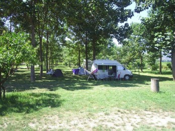 Garden Camping