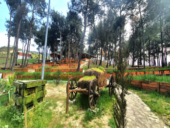 Güzelyalı Çamlık Park Kamp ve Karavan Alanı