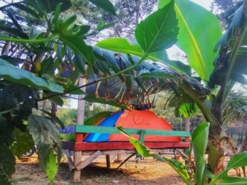 Korsan Camping